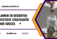 Plannen en Begroten